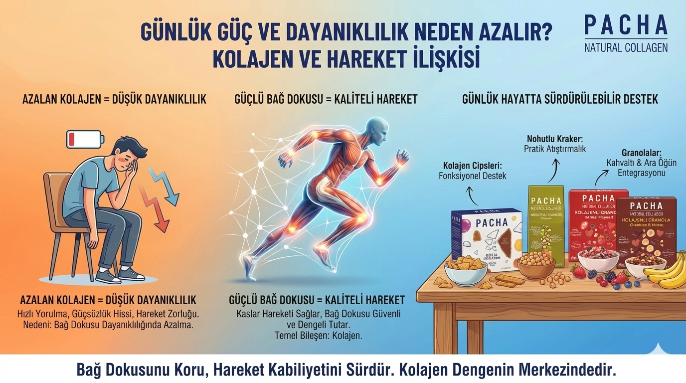 Günlük Güç ve Dayanıklılık Neden Azalır? Kolajen ve Hareket İlişkisi
